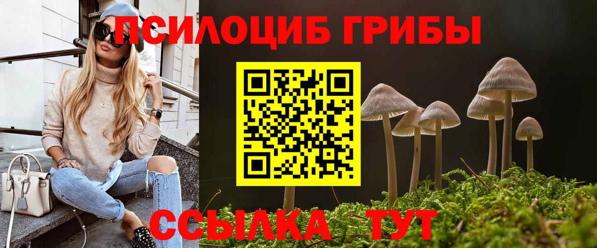 Псилоцибиновые грибы Psilocybe Кореновск